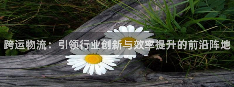 豪门国际加拿大是什么意思：跨运物流：