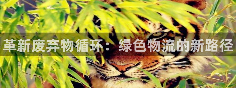 豪门国际能赢钱吗：革新废弃物循环：绿