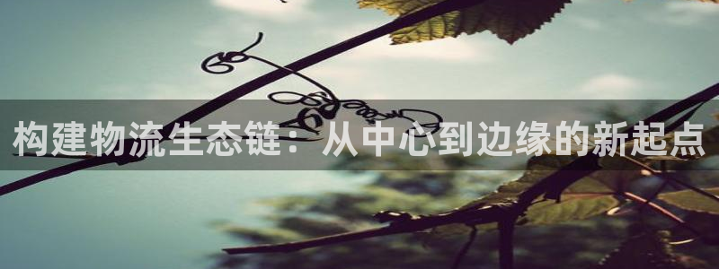 豪门国际充值不到账怎么办：构建物流生