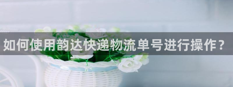 豪门国际反水什么时候到：如何使用韵达