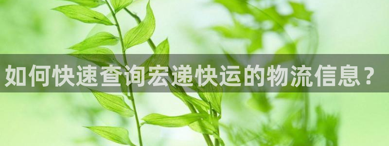 豪门国际链接：如何快速查询宏递快运的