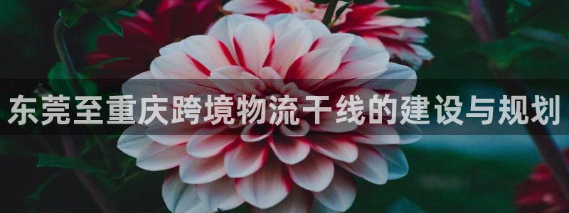 豪门国际链接：东莞至重庆跨境物流干线