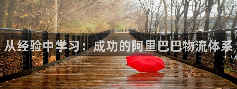 豪门国际圈