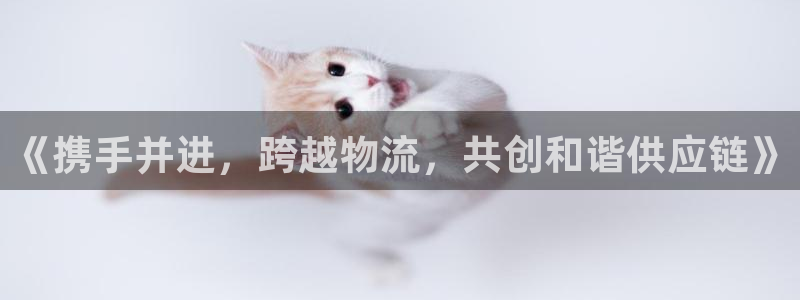 豪门国际防失联网址：《携手并进，跨越
